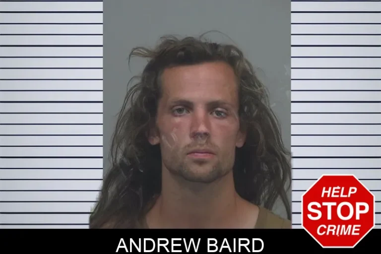 Andrew Baird mugshot – Gwinnett County , Georgia Andrew Baird