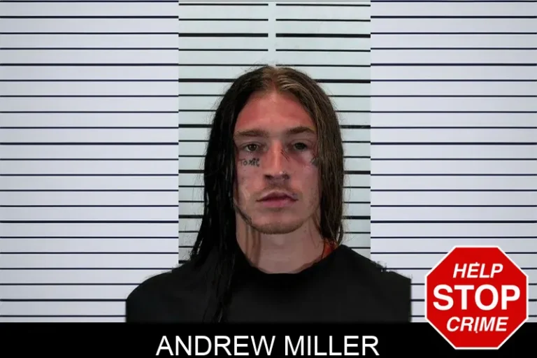 Andrew Miller