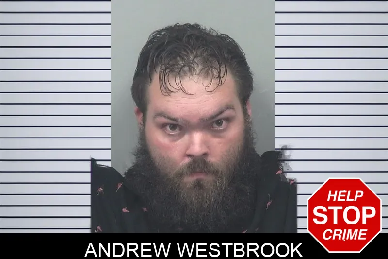 Andrew Westbrook mugshot – Gwinnett County , Georgia Andrew Westbrook mugshot