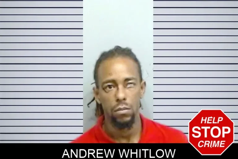 Andrew Whitlow