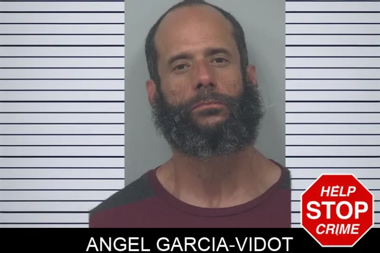 Angel Garcia-Vidot mugshot – Gwinnett County , Georgia Angel Garcia-Vidot