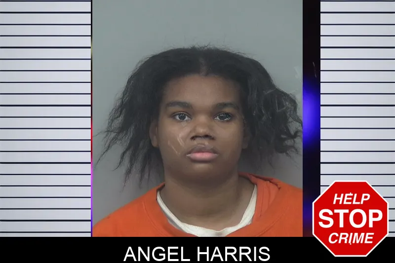 Angel Harris Mugshots