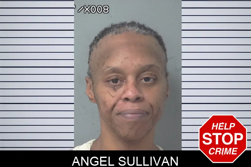 Angel Sullivan Mugshots