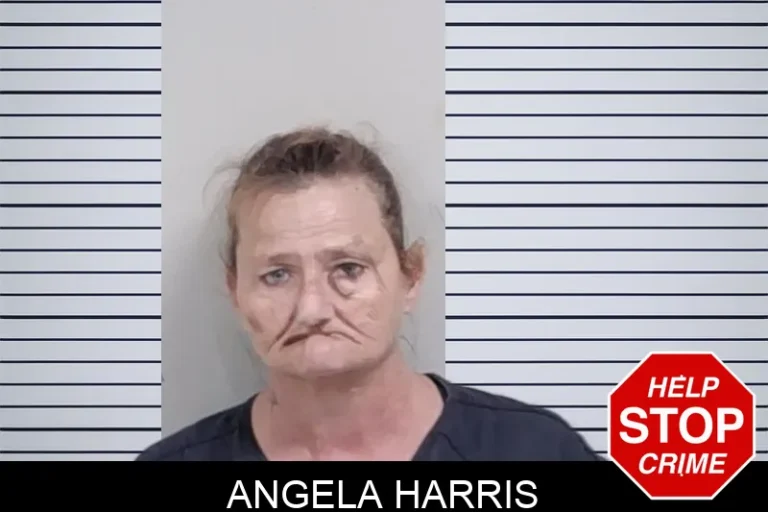 Angela Harris