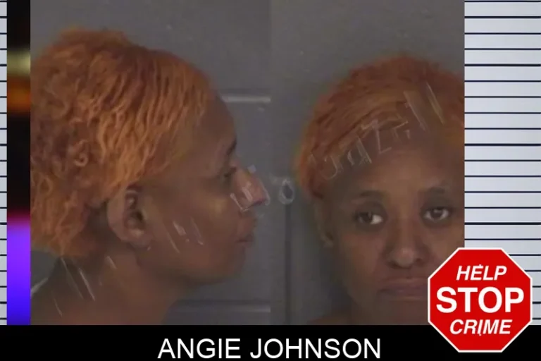 Angie Johnson mugshot – Barrow County , Georgia Angie Johnson