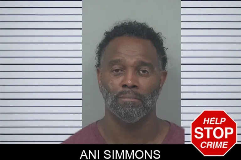 Ani Simmons mugshot – Gwinnett County , Georgia Ani Simmons