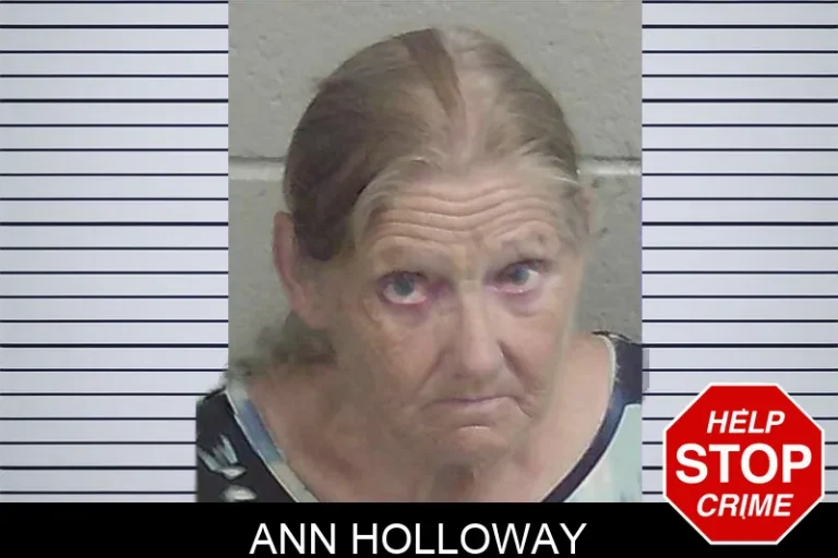 Ann Holloway mugshot – Wayne County , Georgia Ann Holloway