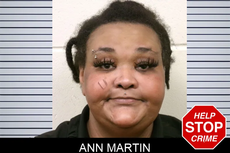 Ann Martin Mugshots