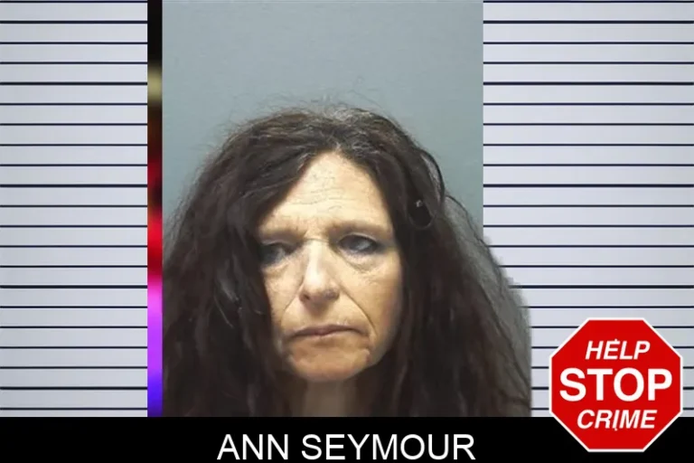 Ann Seymour mugshot – Cherokee County , Georgia Ann Seymour