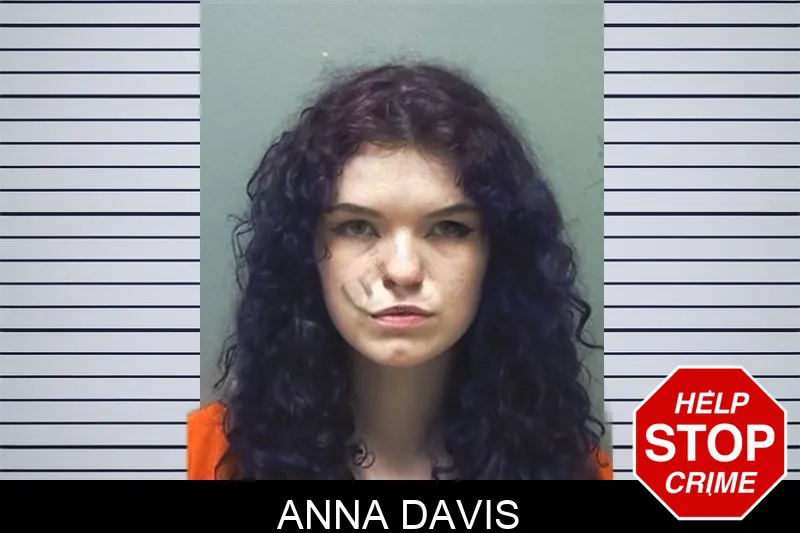 Anna Davis mugshot – Cherokee County , Georgia Anna Davis mugshot