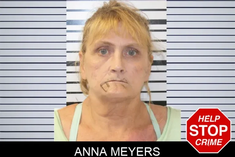 Anna Meyers mugshot – Toombs County , Georgia Anna Meyers