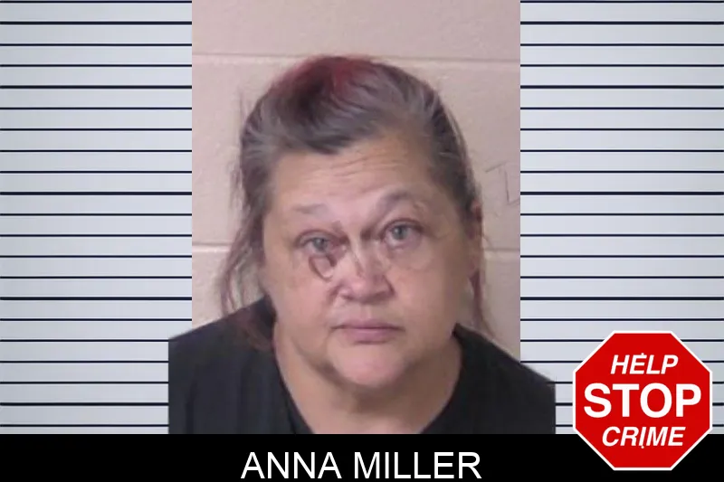 Anna Miller Mugshots