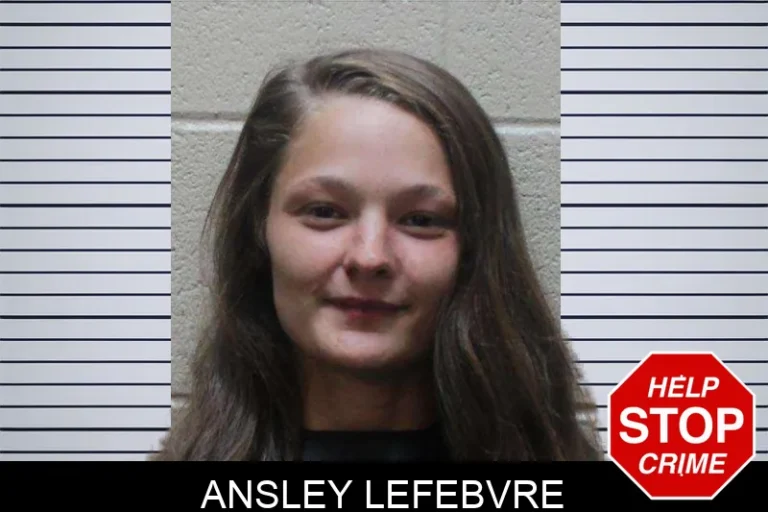 Ansley Lefebvre mugshot – Haralson County , Georgia Ansley Lefebvre