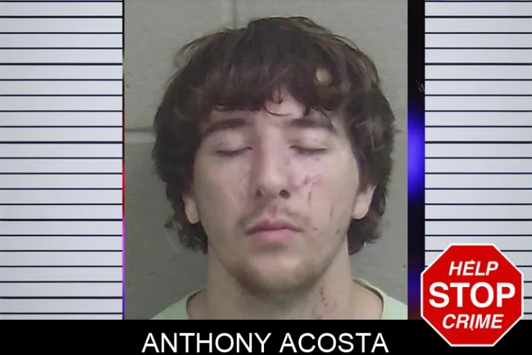 Anthony Acosta mugshot – Wayne County , Georgia Anthony Acosta