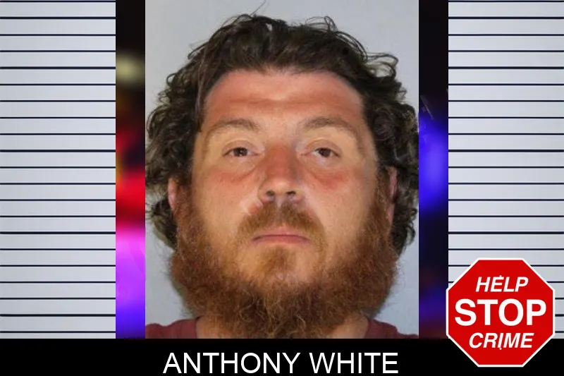 Anthony White Mugshots
