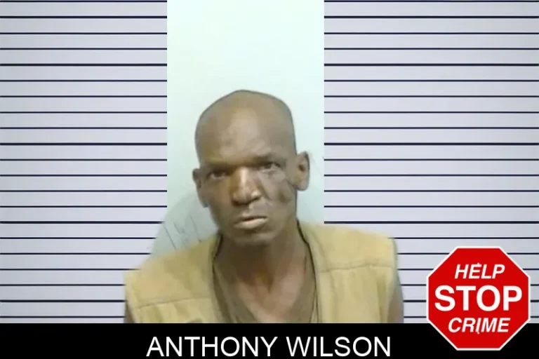Anthony Wilson