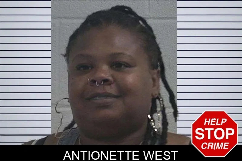 Antionette West Mugshots