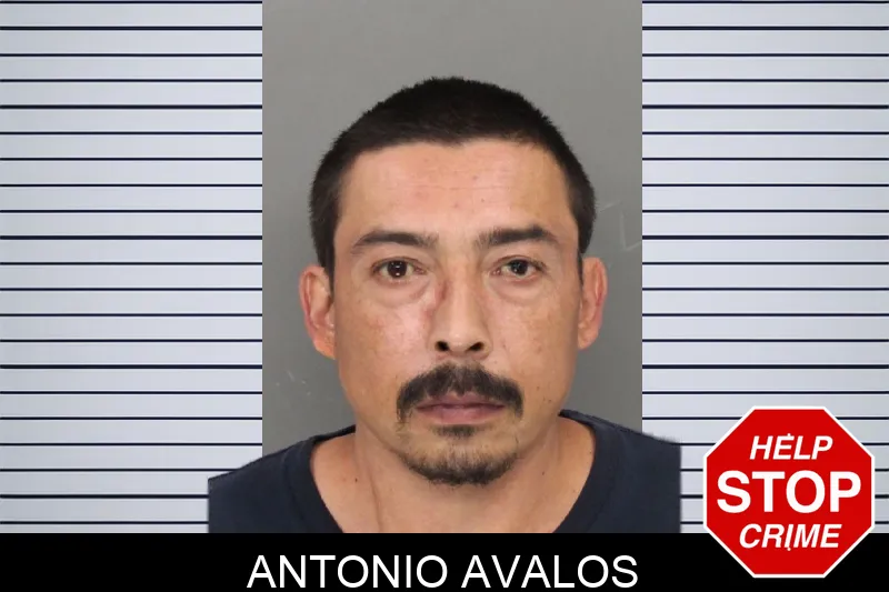 Antonio Avalos mugshot – Cobb County , Georgia Antonio Avalos mugshot