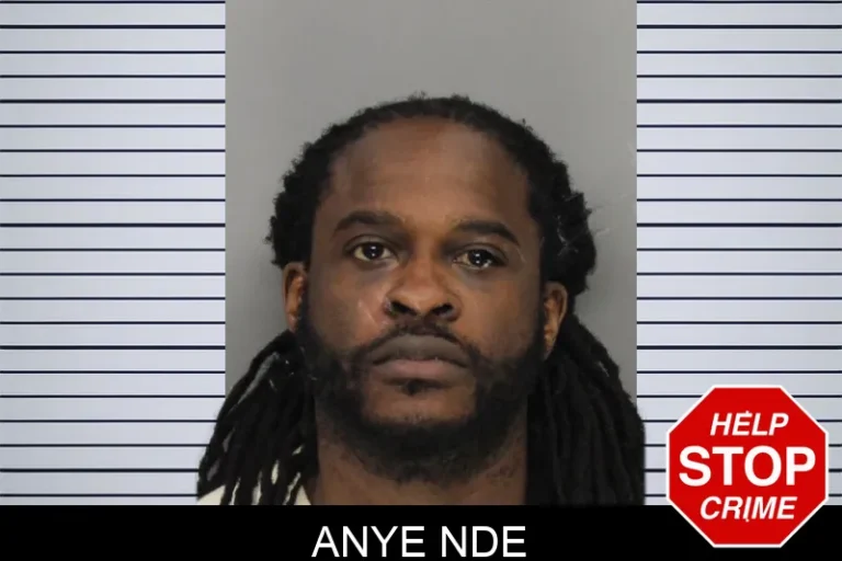 Anye Nde mugshot – Cobb County , Georgia Anye Nde