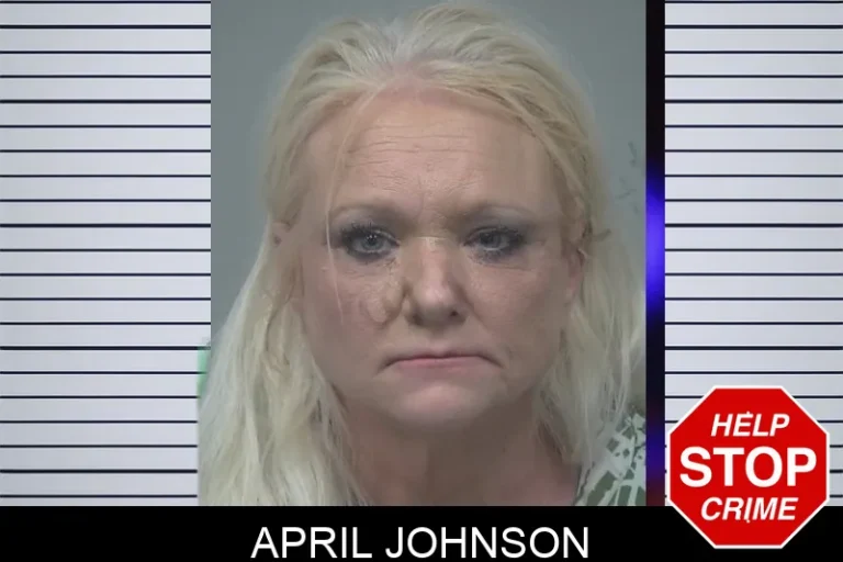 April Johnson mugshot – Gwinnett County , Georgia April Johnson