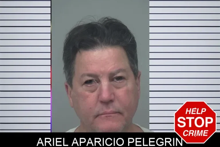 Ariel Aparicio Pelegrin