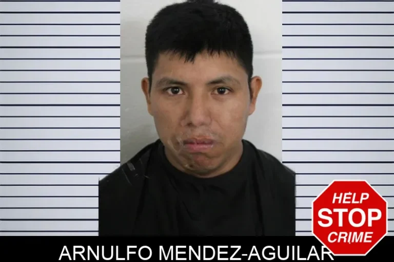 Arnulfo Mendez-Aguilar