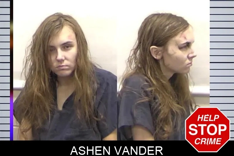 Ashen Vander Mugshots