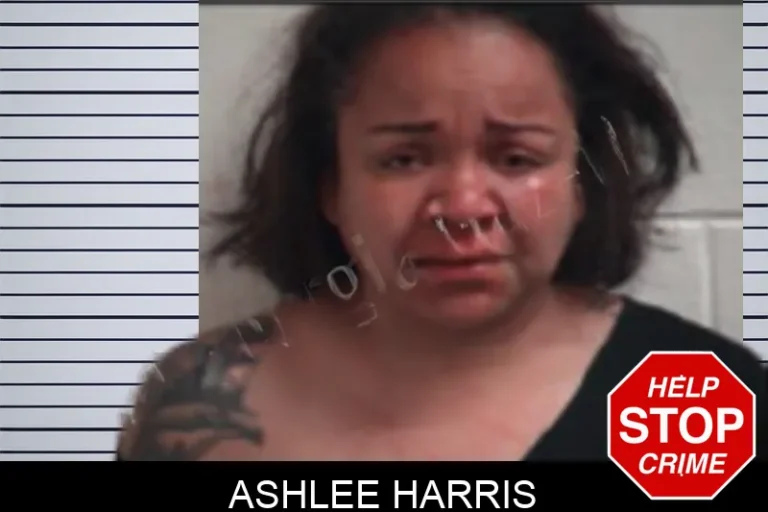 Ashlee Harris mugshot – Henry County , Georgia Ashlee Harris