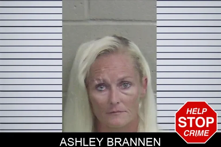 Ashley Brannen mugshot – Wayne County , Georgia Ashley Brannen