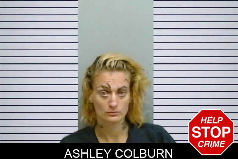 Ashley Colburn Mugshots