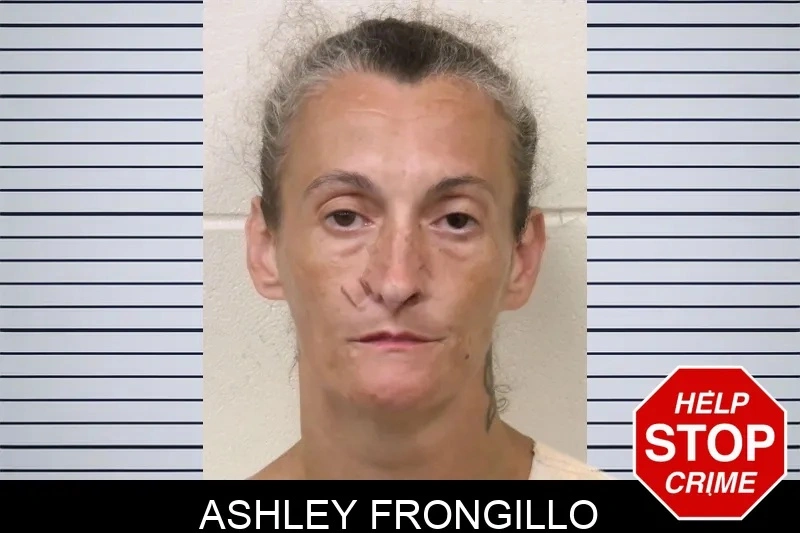 Ashley Frongillo Mugshots