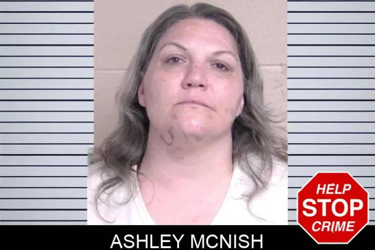 Ashley McNish