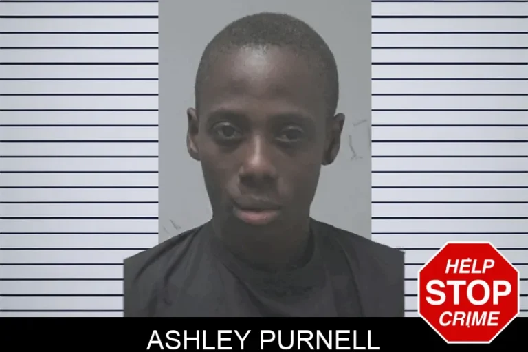 Ashley Purnell