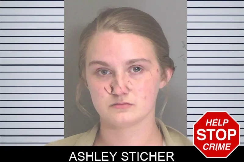 Ashley Sticher Mugshots