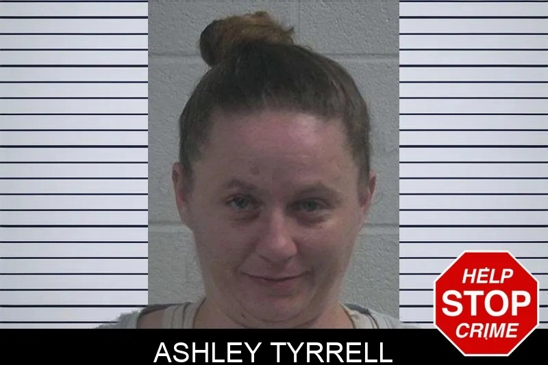 Ashley Tyrrell Mugshots