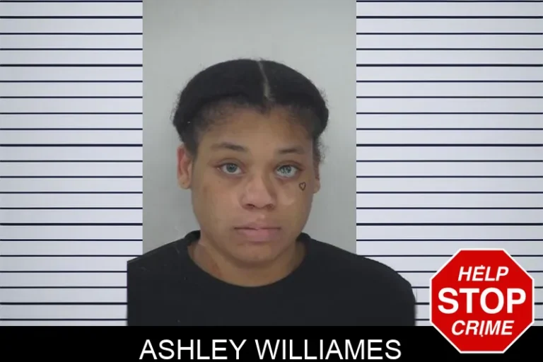 Ashley Williames mugshot – Fayette County , Georgia Ashley Williames