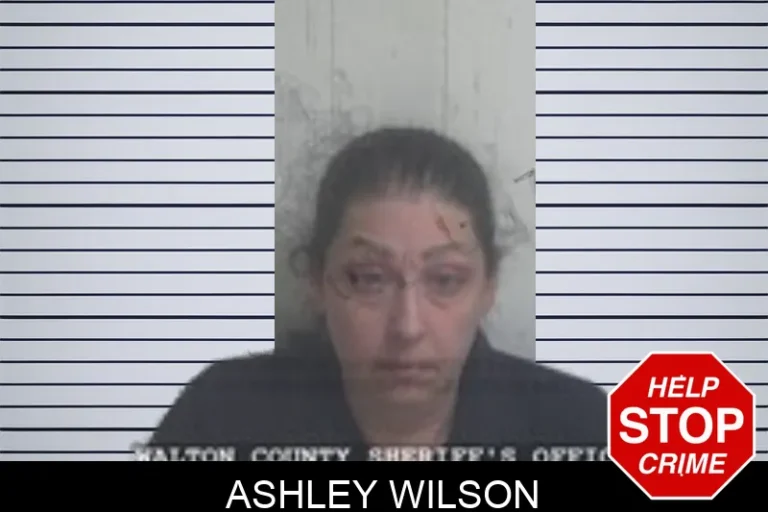 Ashley Wilson