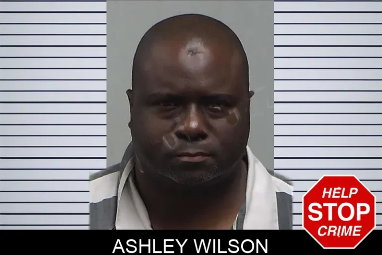 Ashley Wilson