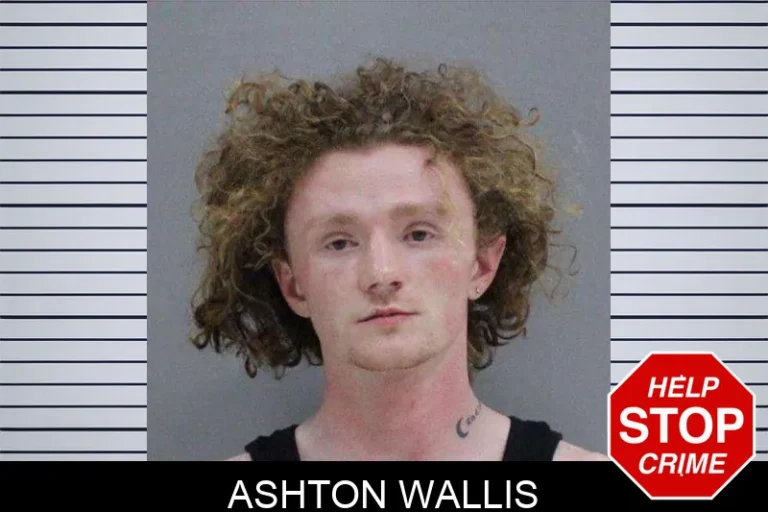 Ashton Wallis