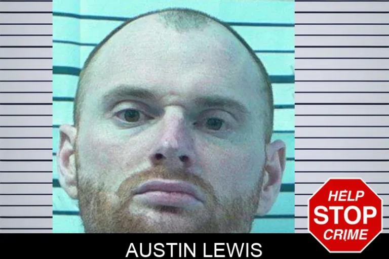 Austin Lewis mugshot – Stephens County , Georgia Austin Lewis