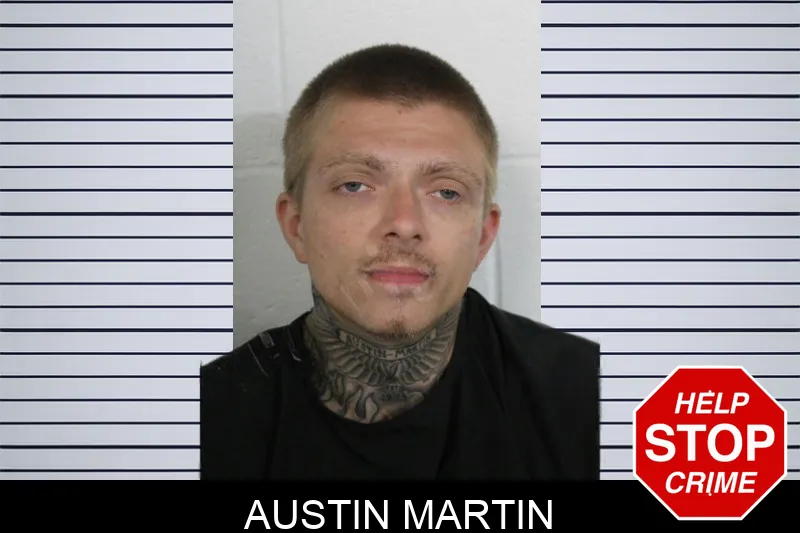 Austin Martin Mugshots