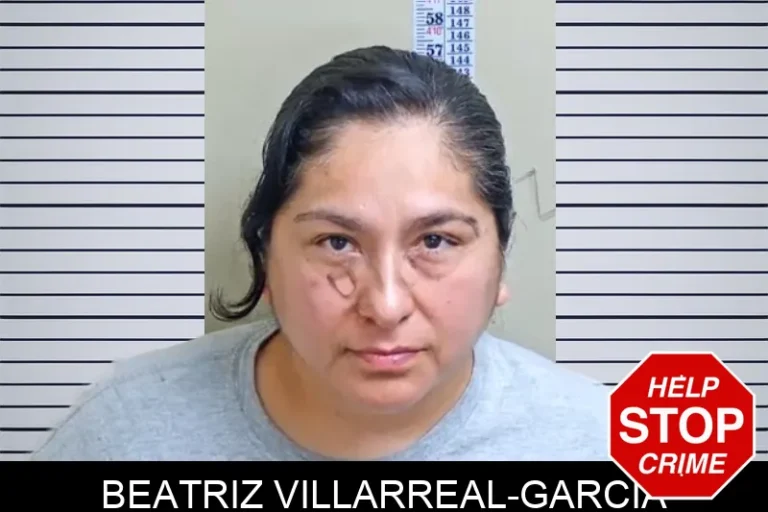 Beatriz Villarreal-Garcia