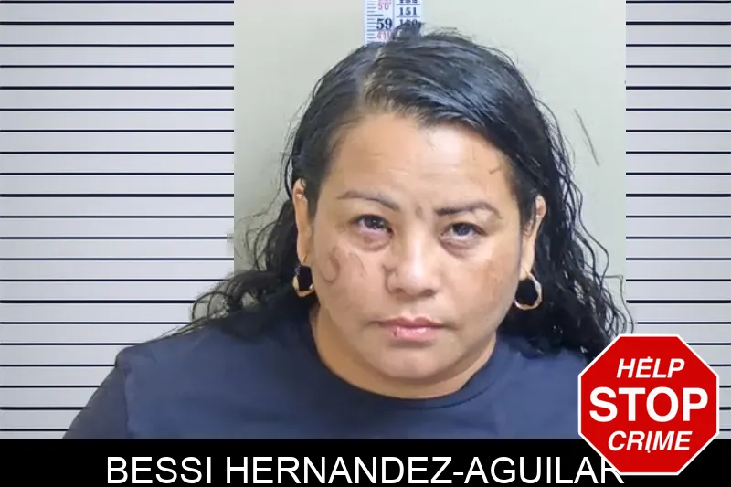 Bessi Hernandez-Aguilar Mugshots