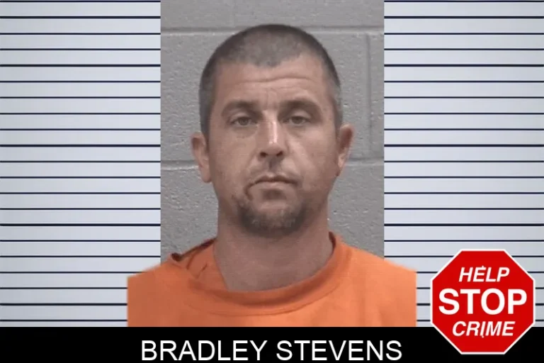 Bradley Stevens