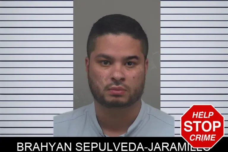 Brahyan Sepulveda-Jaramillo
