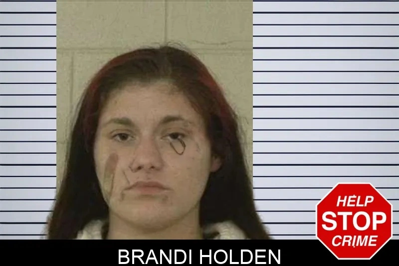 Brandi Holden Mugshots