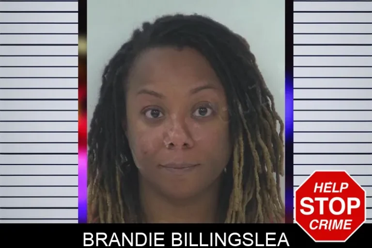 Brandie Billingslea mugshot – Fayette County , Georgia Brandie Billingslea