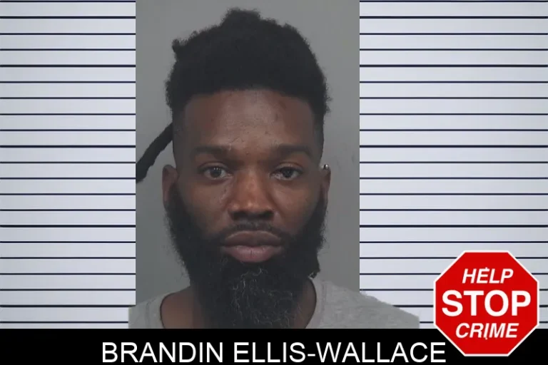 Brandin Ellis-Wallace
