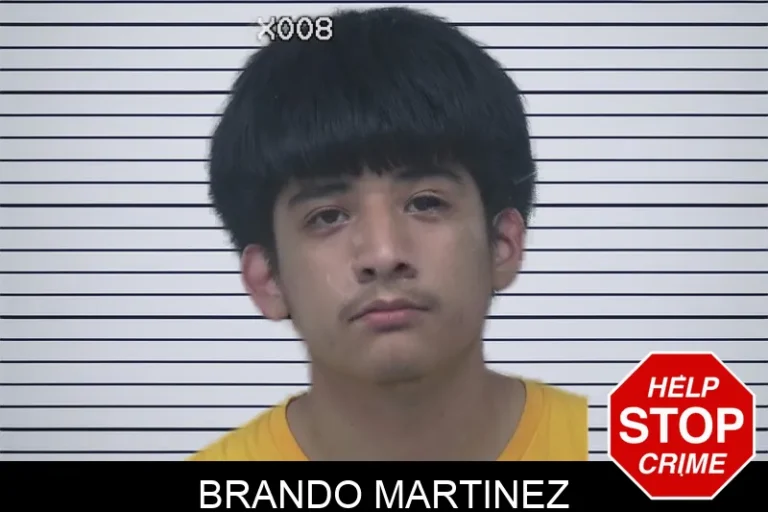 Brando Martinez mugshot – Gwinnett County , Georgia Brando Martinez