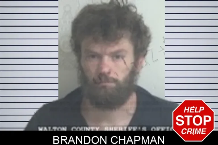 Brandon Chapman